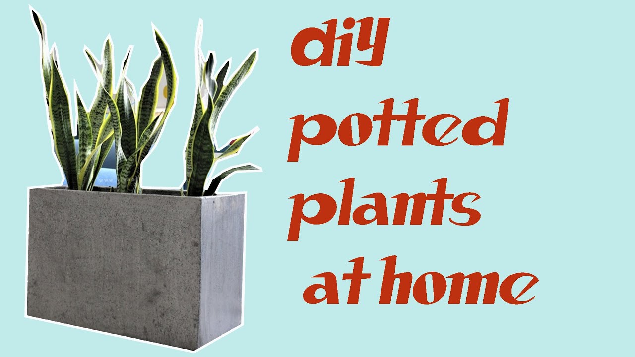 DrEam TV  Unique ways of molding to create cement blocks