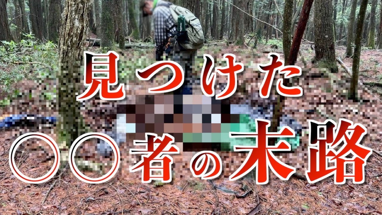 【特別公開】富士の樹海の行方不明者捜索&hellip;悲しい現実