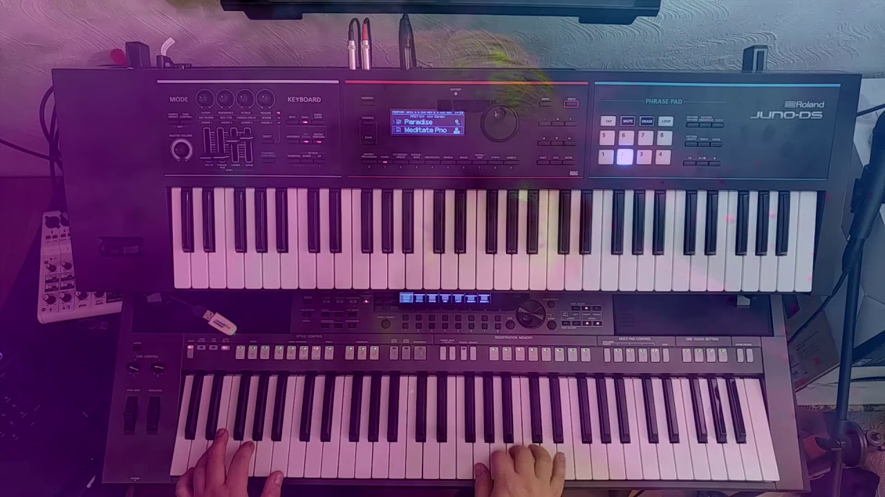 Darkside by Alan Walker   Yamaha PSR   S770 & Roland Juno DS