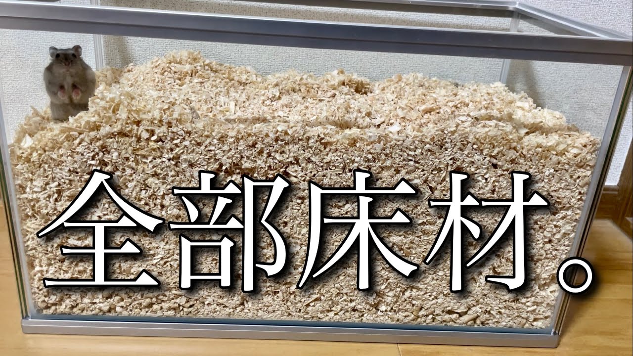 ハムスターのケージを床材で埋め尽くしてみた！