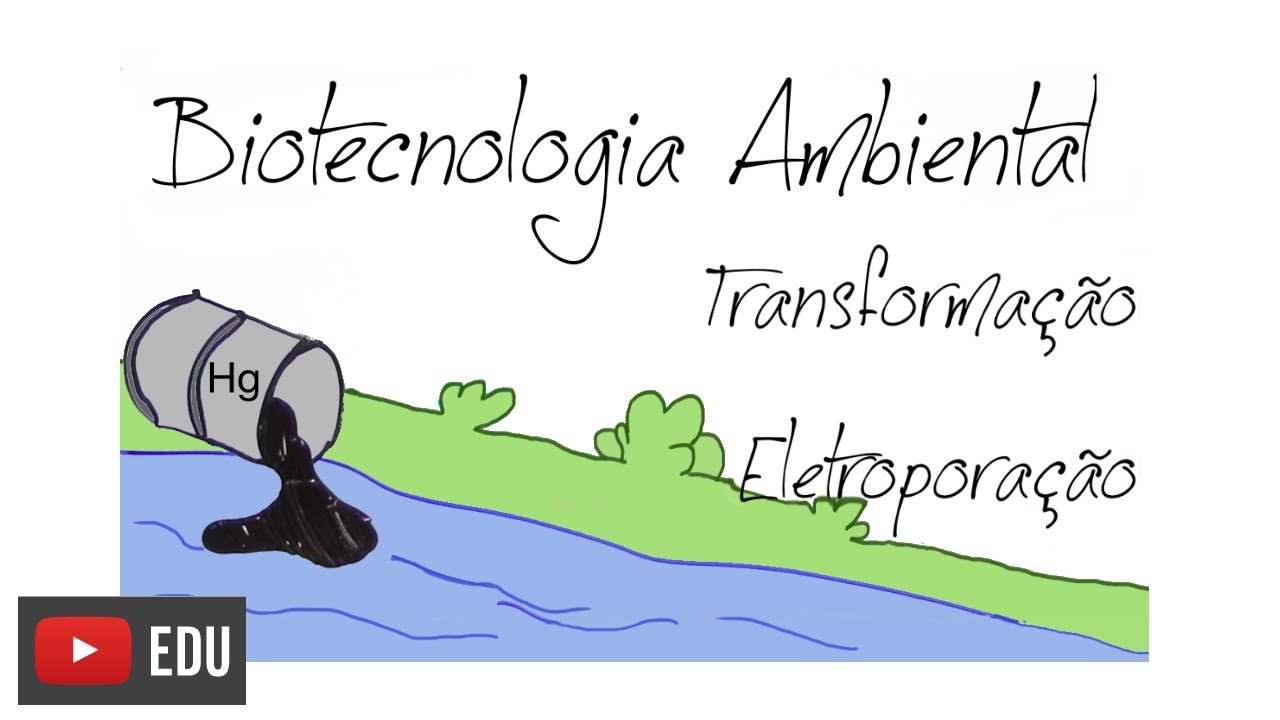 Biotecnologia na recuperação de áreas contaminadas | #InstanteBiotec 10