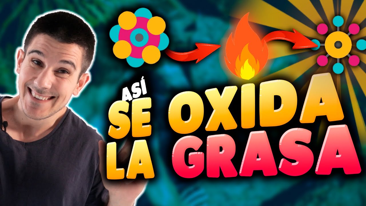 ¿Cómo Se Quema La GRASA?🔥*Claves Para Oxidar MÁS GRASA*🔥Fisiología EXPLICADA🤓