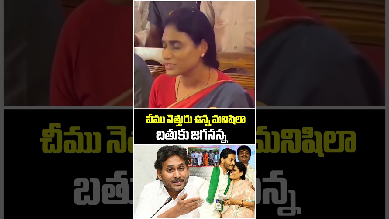 If Jagan asks..I will give my life..YS Sharmila Emotional Speech About Jagan | Mahaa News