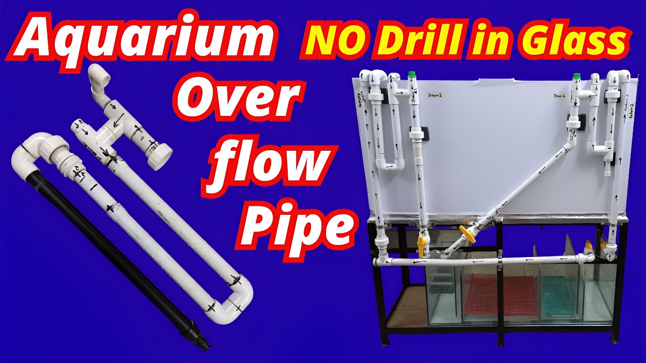 DIY Aquarium Overflow Pipe | Sump Overflow Without Drilling | Urdu / Hindi