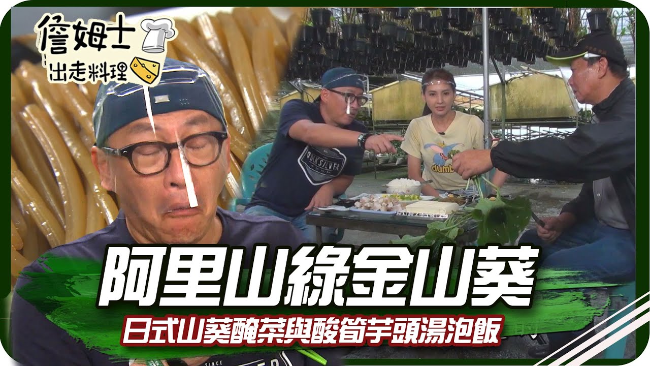 《跟著姆士出遊去》阿里山綠金山葵 日式山葵醃菜與酸筍芋頭湯泡飯