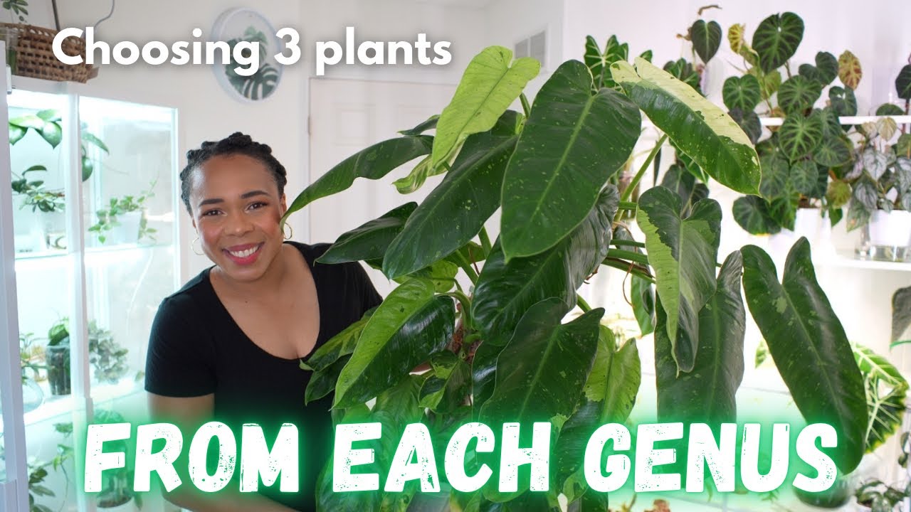 🪴 If I Had NOTHING... These Are the FIRST Plants I’d Buy! 🛍️💚