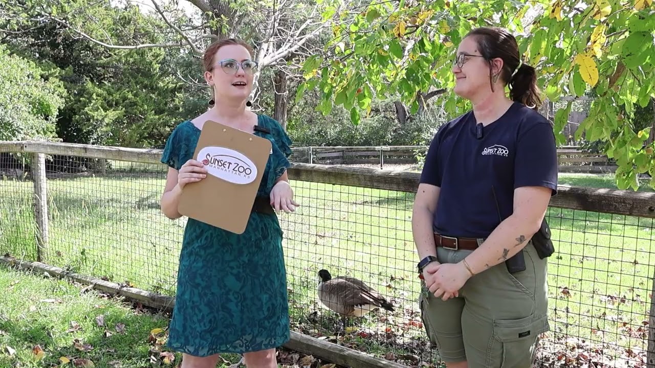 Manhattan Parks and Recreation's 5 Minute Fridays - October 10