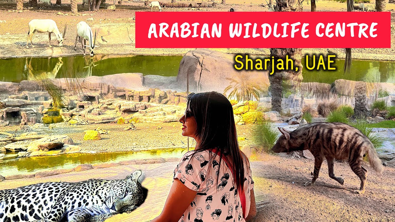 Arabian Wildlife Centre Sharjah UAE | Sharjah Desert Park | Dubai Indoor Zoo Animals for family trip