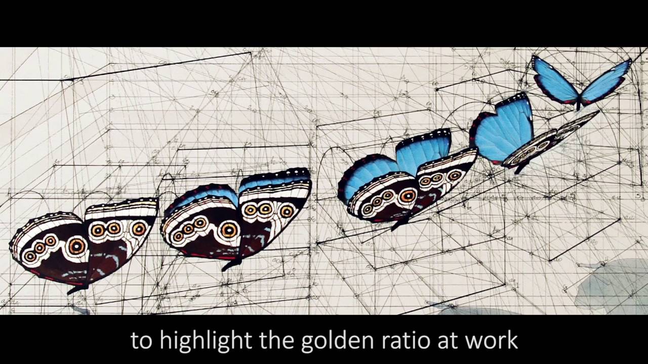 Golden Ratio Coloring Book by Rafael Araujo