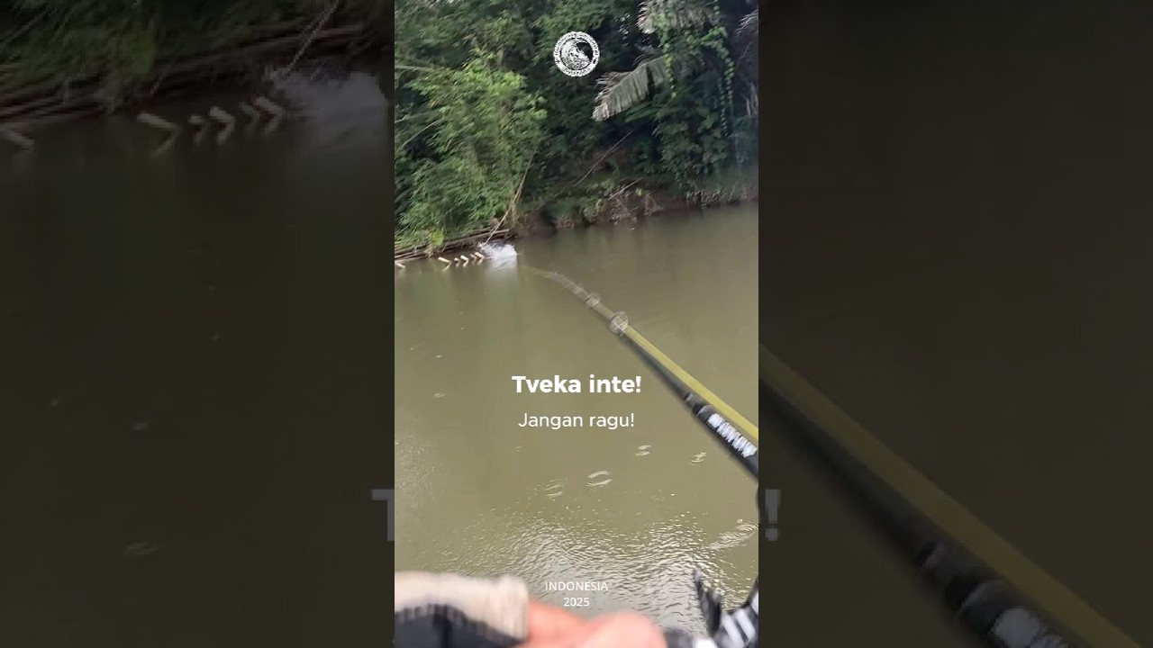 CRAZY ATTACK PAPUAN BLACK BASS! Fishing Adventure in Indonesia! 2026 #Shorts