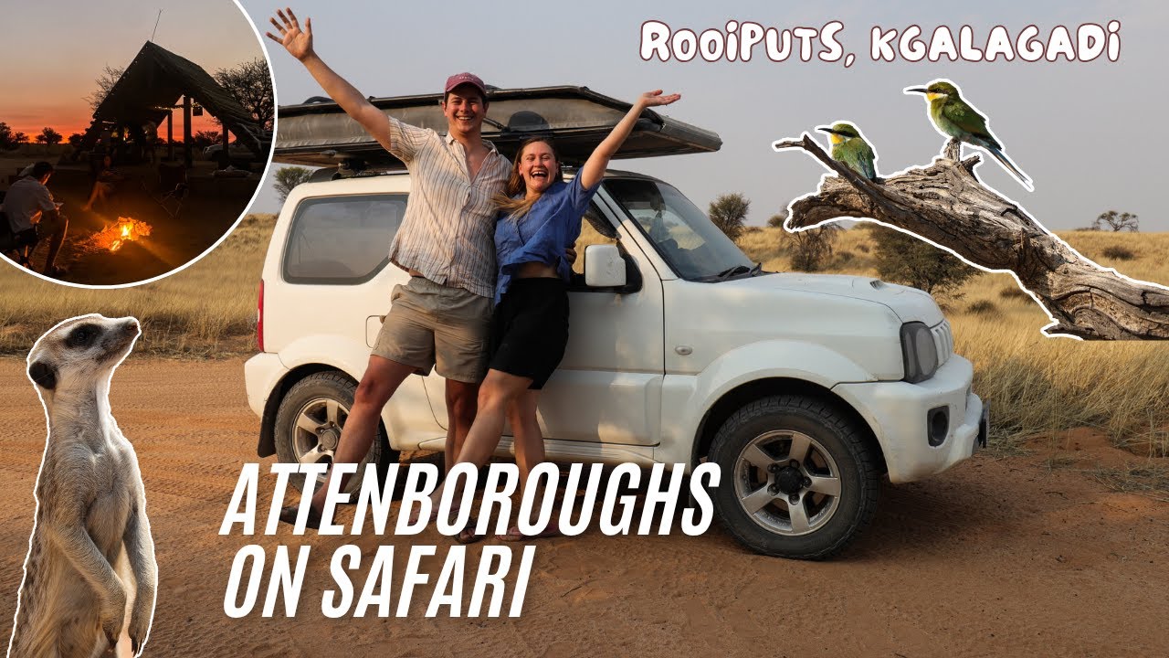 Rooiputs Unfenced Camping | Botswana's Wild Side of the Kgalagadi | Attenboroughs on Safari