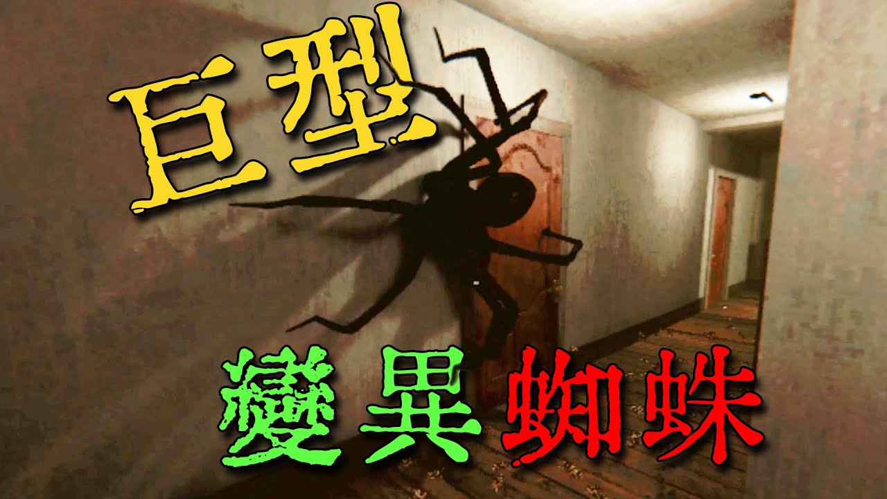 養的小蜘蛛怎麽不見了？原來在....它怎麽這麽大？！