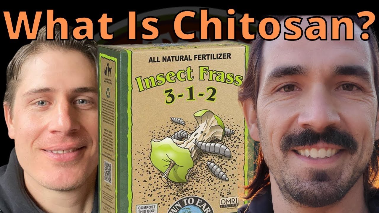 Хитозан находится в Insect Frass с земли