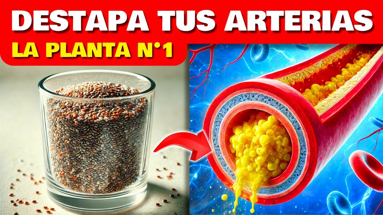 PLANTA #1 que DESTAPA las ARTERIAS y BAJA el COLESTEROL que NADIE te DICE