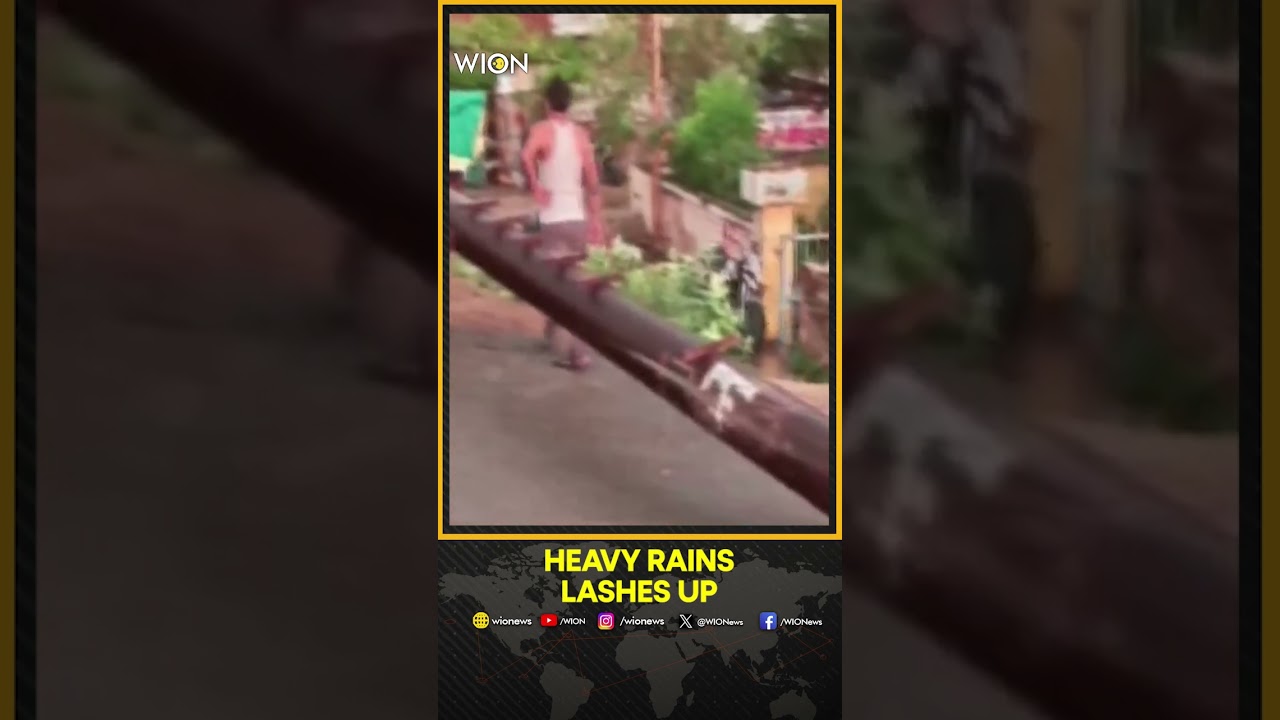UP Storm: Storm and Heavy Rains Kill 33 Across Uttar Pradesh | WION SHORTS