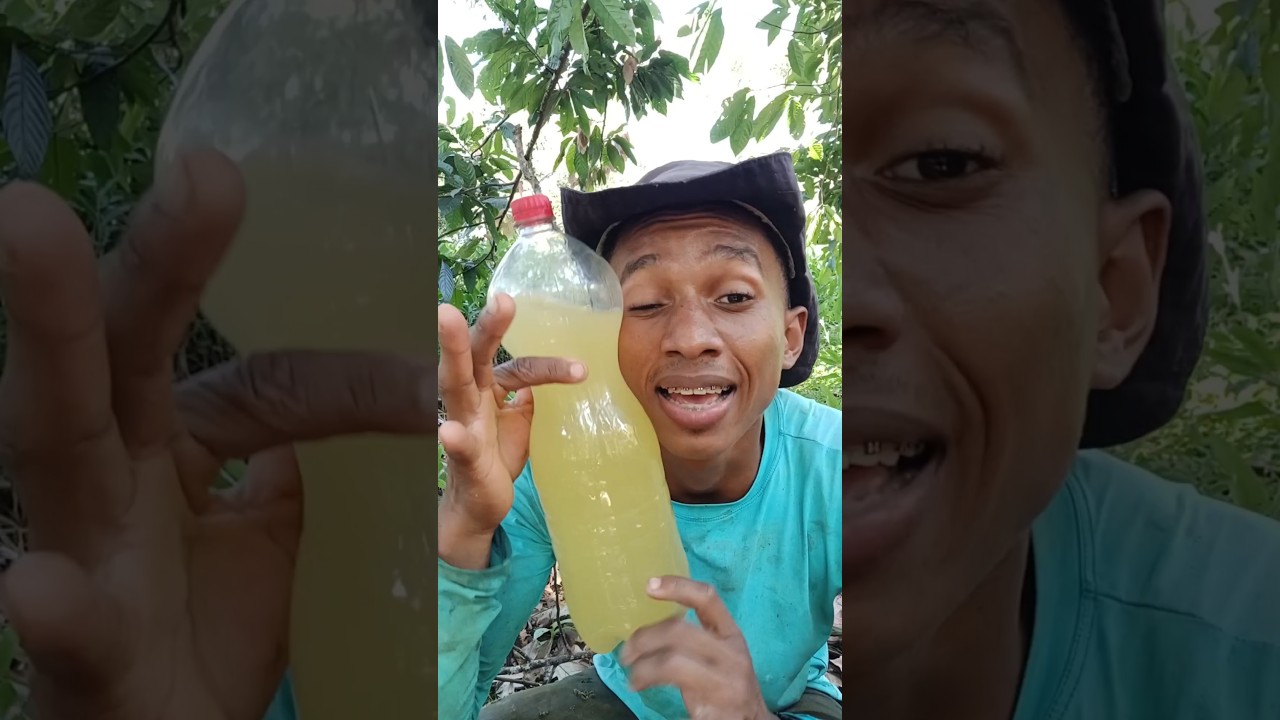 Como fazer refrigerante natural