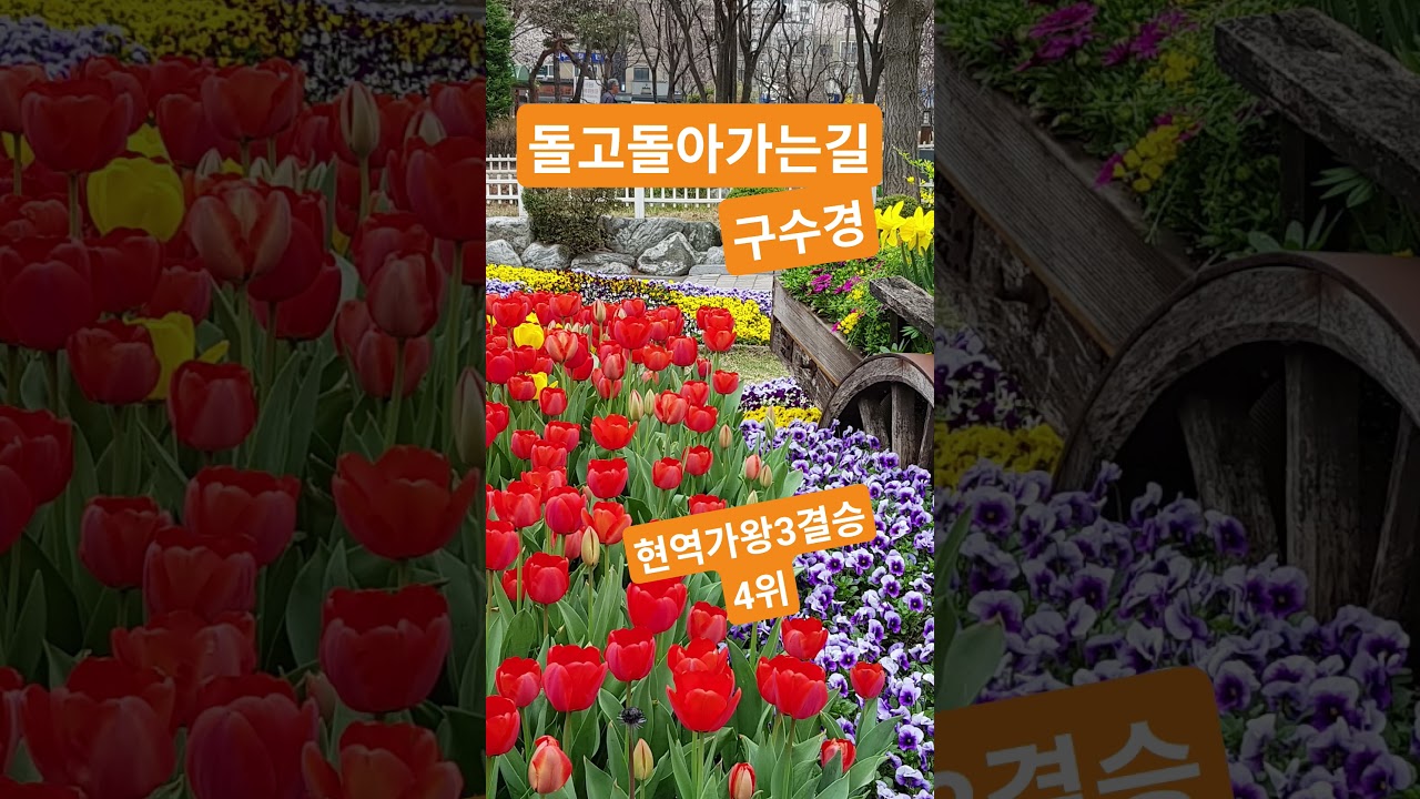 현역가왕3 결승전4위 #구수경  #돌고돌아가는길