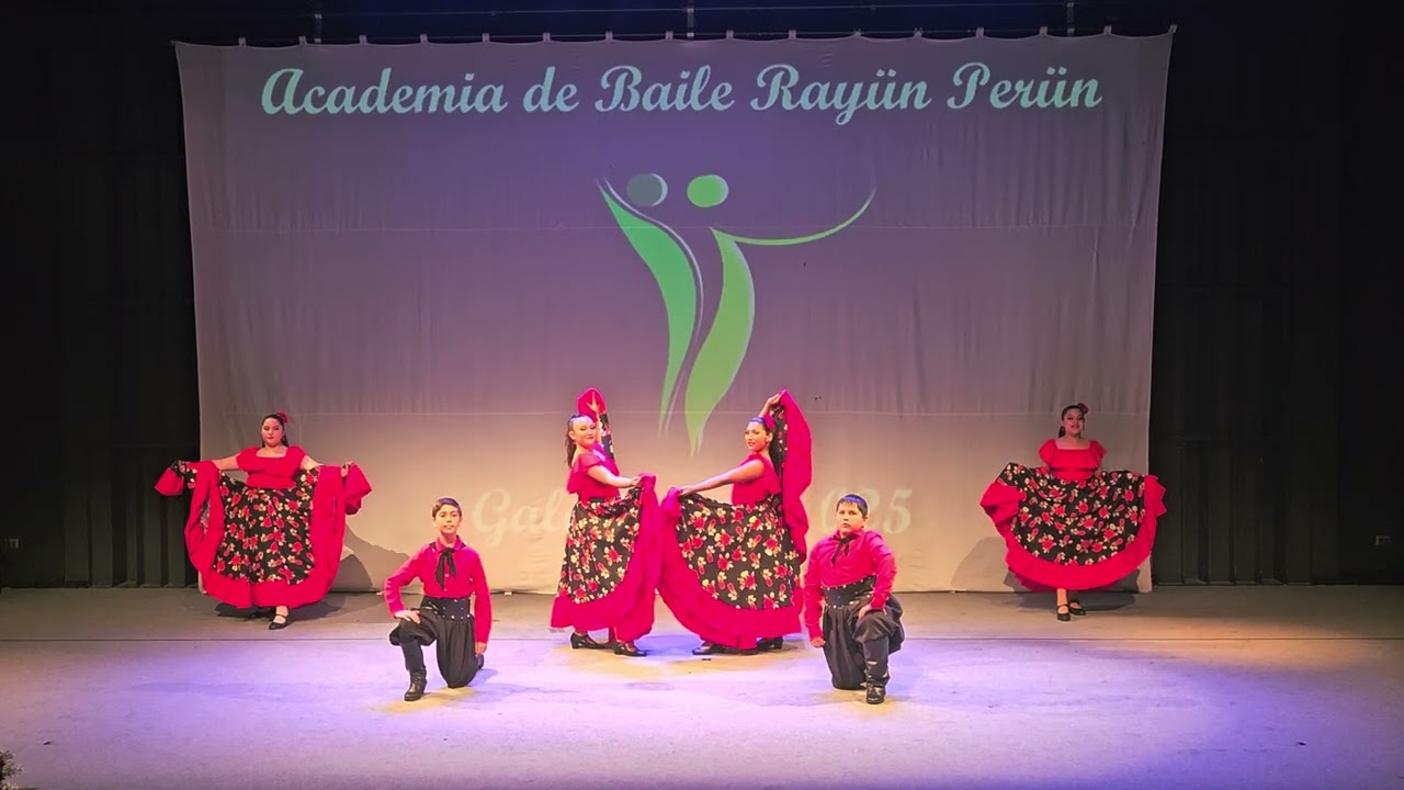 @rayunperun Gala 2025 estampa Argentina 