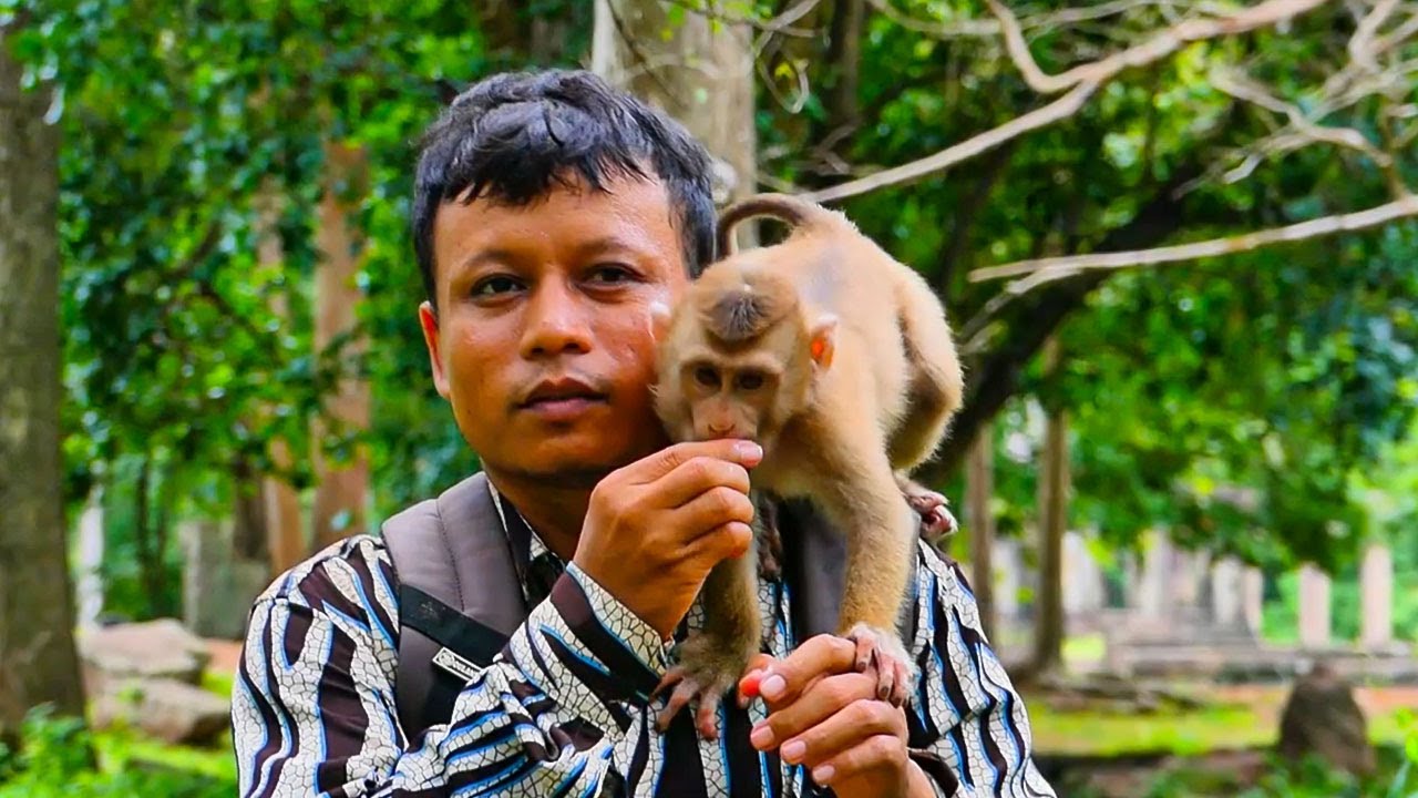 Brother khna walks Rainbow & Leo monkey to have dinner before bedtime 🌿💫