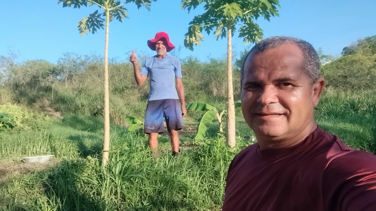 NO SÍTIO ZÉ DE BIRÔ NA ESTRADA VELHA LIMOEIRO PERNAMBUCO 24 DE FEVEREIRO 2026