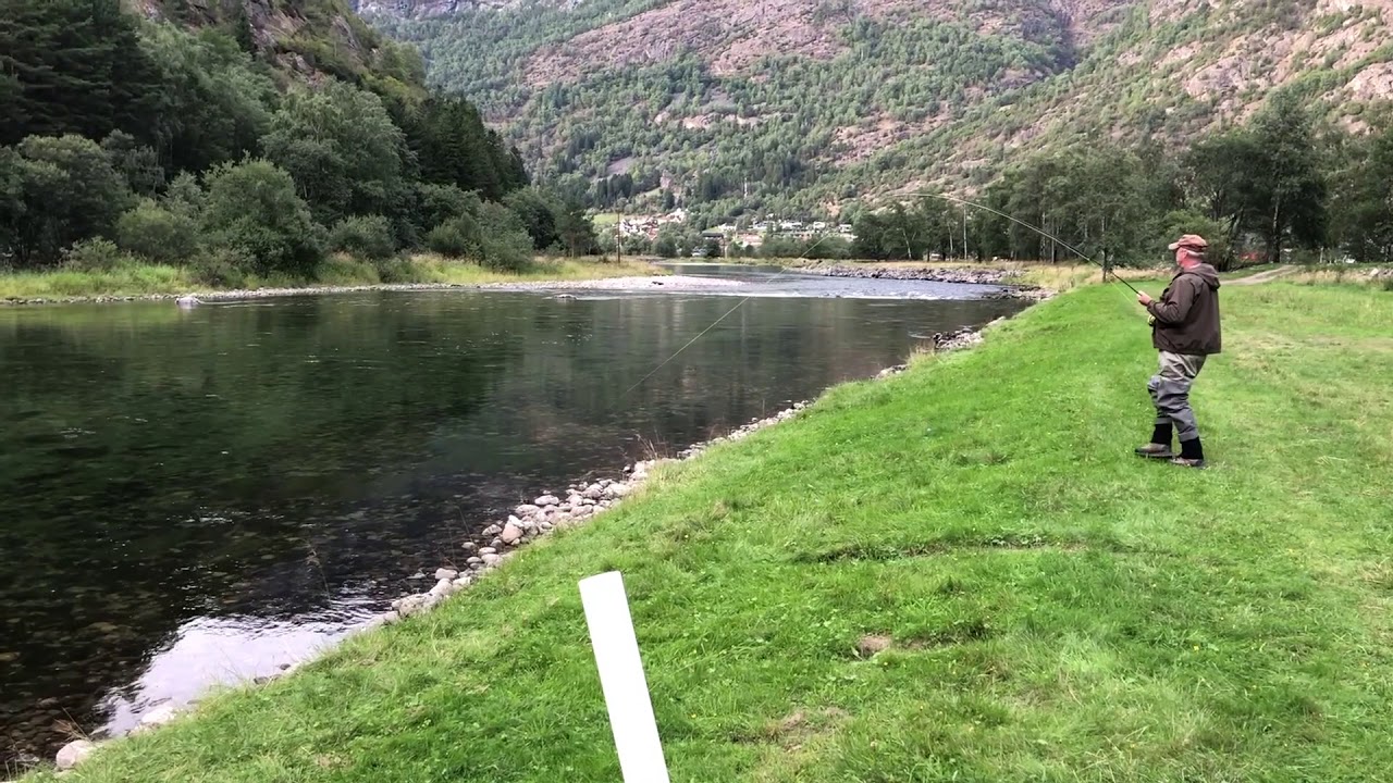 Johnny, tørrfluge i Lærdal. Dry fly seatrout