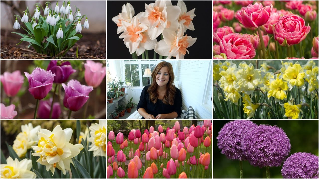 My 2020 Bulb Order! 🌿 // Garden Answer