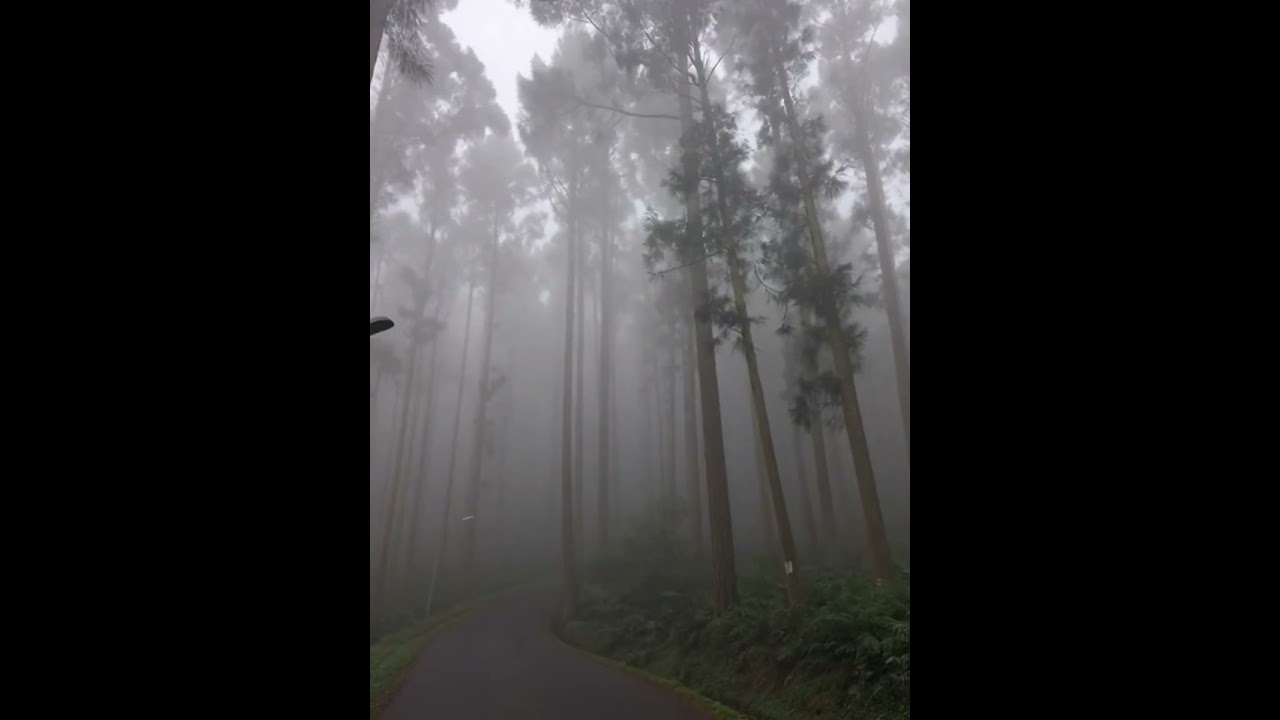🎬 在霧裡靠近【聲音不打烊，情緒不停播】| → Live music for every side of you !