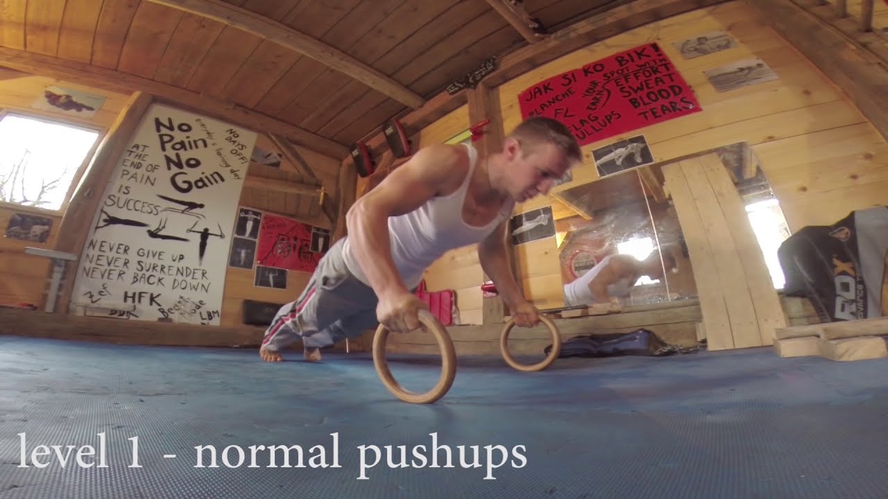 Dominik Sky - Ring Grip Push ups