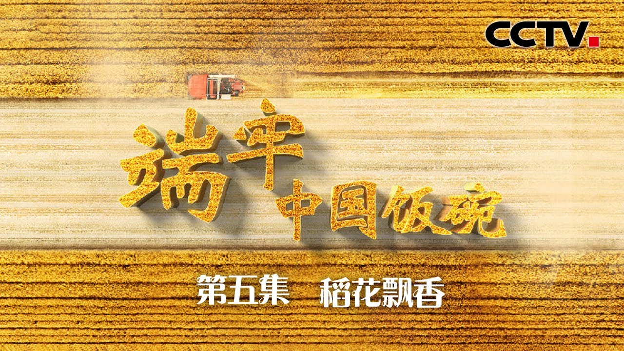 纪录片《端牢中国饭碗》第5集 稻花飘香 | CCTV「端牢中国饭碗」