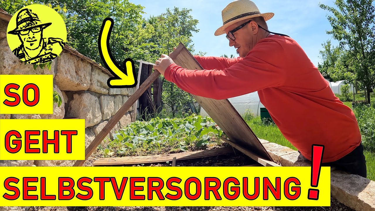 Gartentipps, die dein Leben leichter machen 😀  | Der Selbstversorger-Garten im Mai 2022 | Bienen 😢