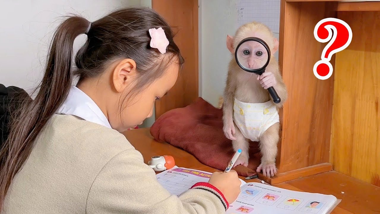 Oh, little monkey Bibi is so happy to be with Sister Bong and the family.