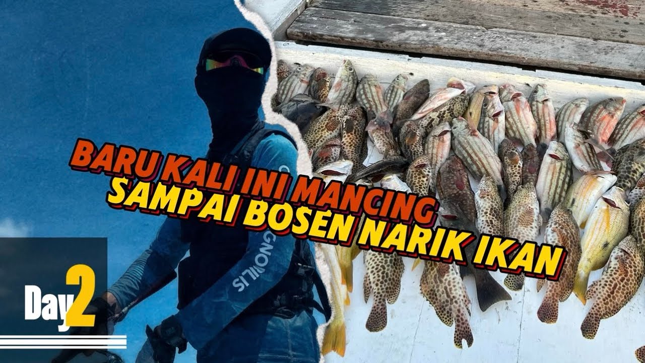 Pesta Strike di Karimunjawa‼️Spot Mancing Terbaik di Akhir Tahun‼️ #day2