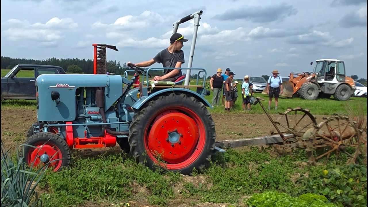Eicher Diesel 13 PS & Fendt 260 S bei Bio-Kartoffelernte wie vor 50 Jahren mit Hilfe der Großfamilie