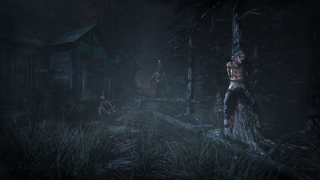 Outlast 2 (с англ. — «Пережить 2»)