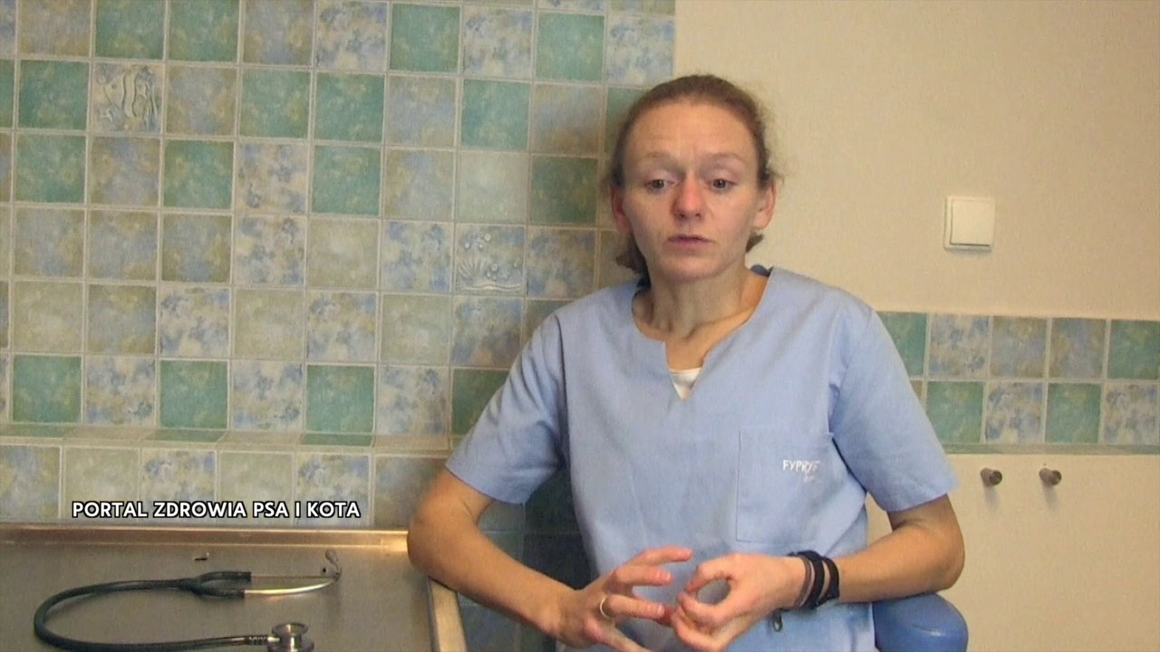 Zespół ogona końskiego