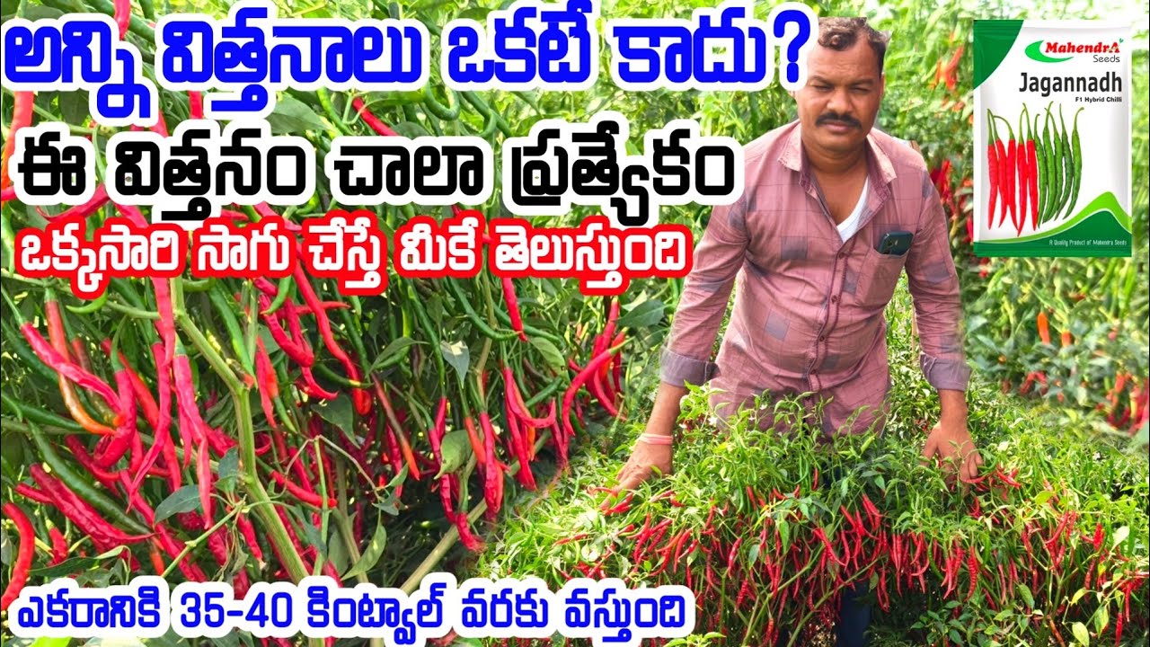 జనం మెచ్చిన 