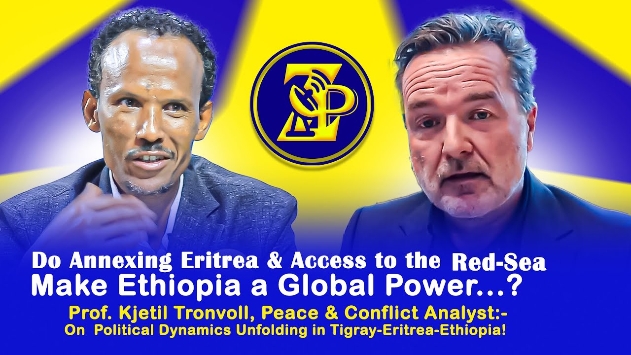 Prof. Kjetil Tronvoll, Peace & Conflict Analyst  #ZerayPress