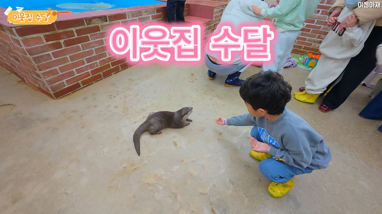 경산 이웃집 수달