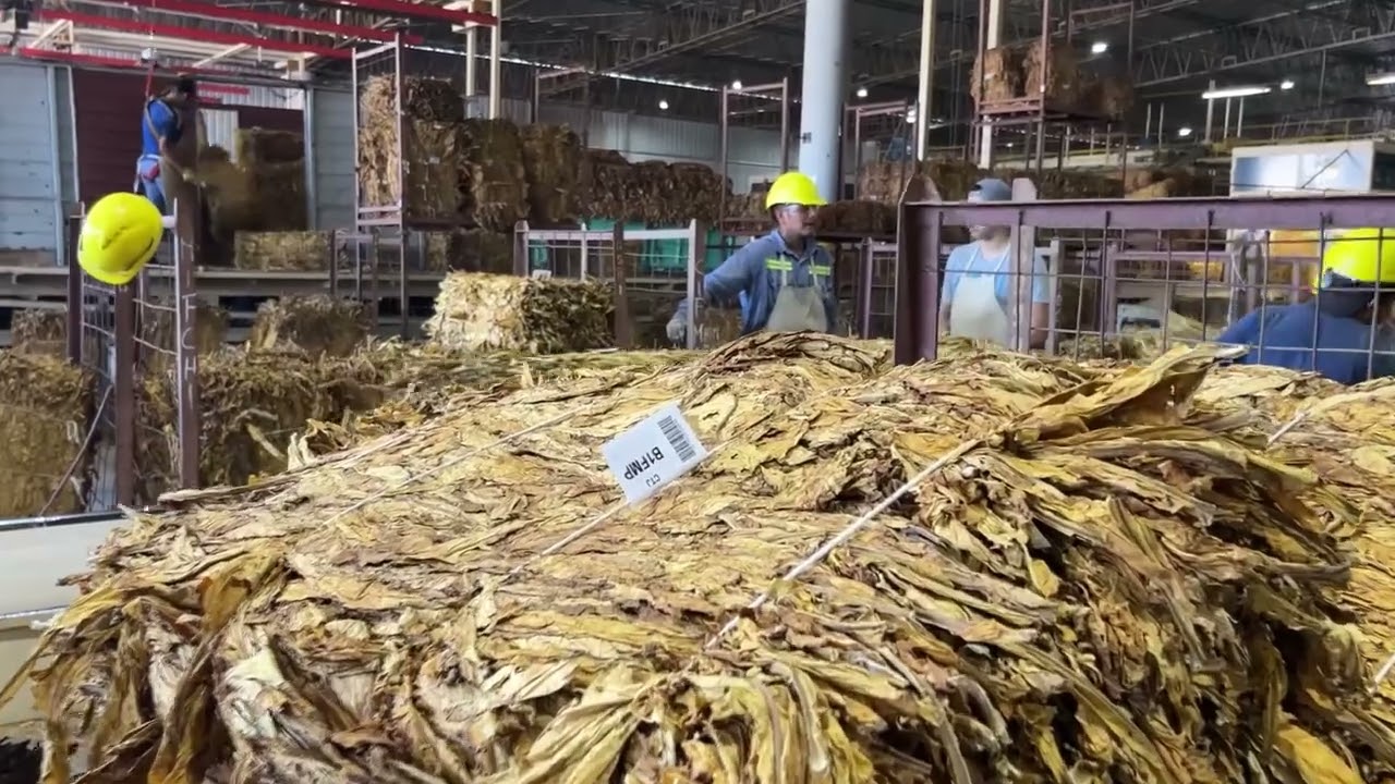 ¡Hito Histórico en Jujuy! La Cooperativa centraliza todo el acopio de la provincia