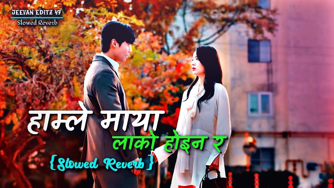 Hamle Maya Lako Hoina Ra❤️‍🩹| Slow Reverb Emotional Song |Ramesh Sen X Bishnu Majhi- Lofi