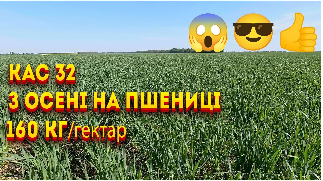 КАС 32 осіннє внесення на пшениці результат шокує 4K