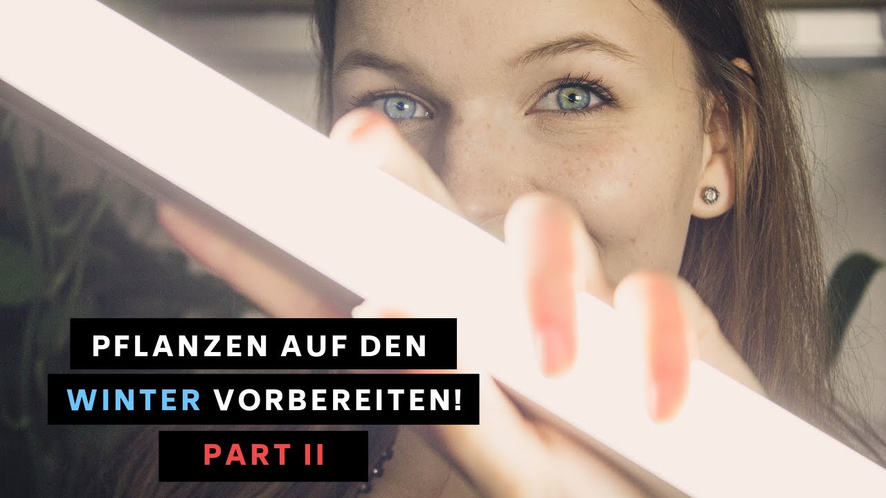 Winter mit Zimmerpflanzen - Part 2 - Licht und Pflanzenlampen (Ganzjährig anwendbar)