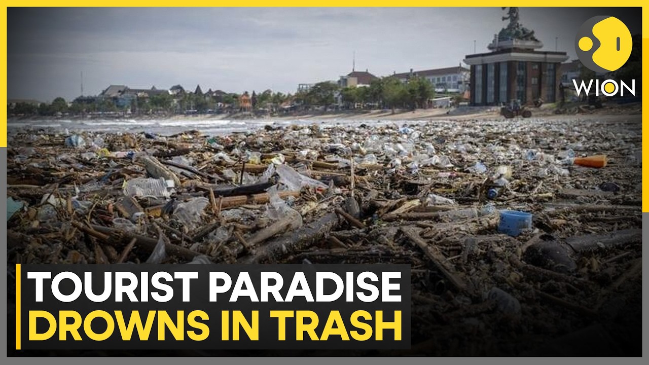 Bali's Largest Landfill Declared Off-Limits for Organic Waste | WION