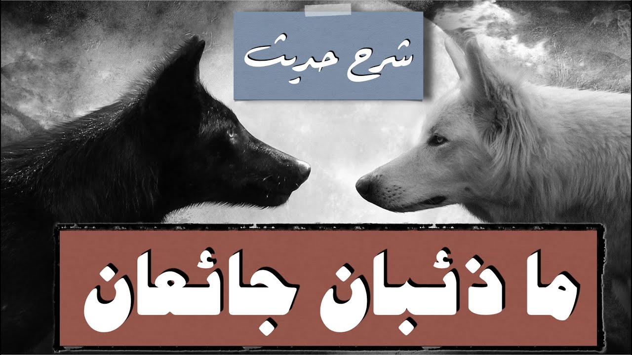 اختصار شرح حديث ما ذئبان جائعان - ابن رجب الحنبلي