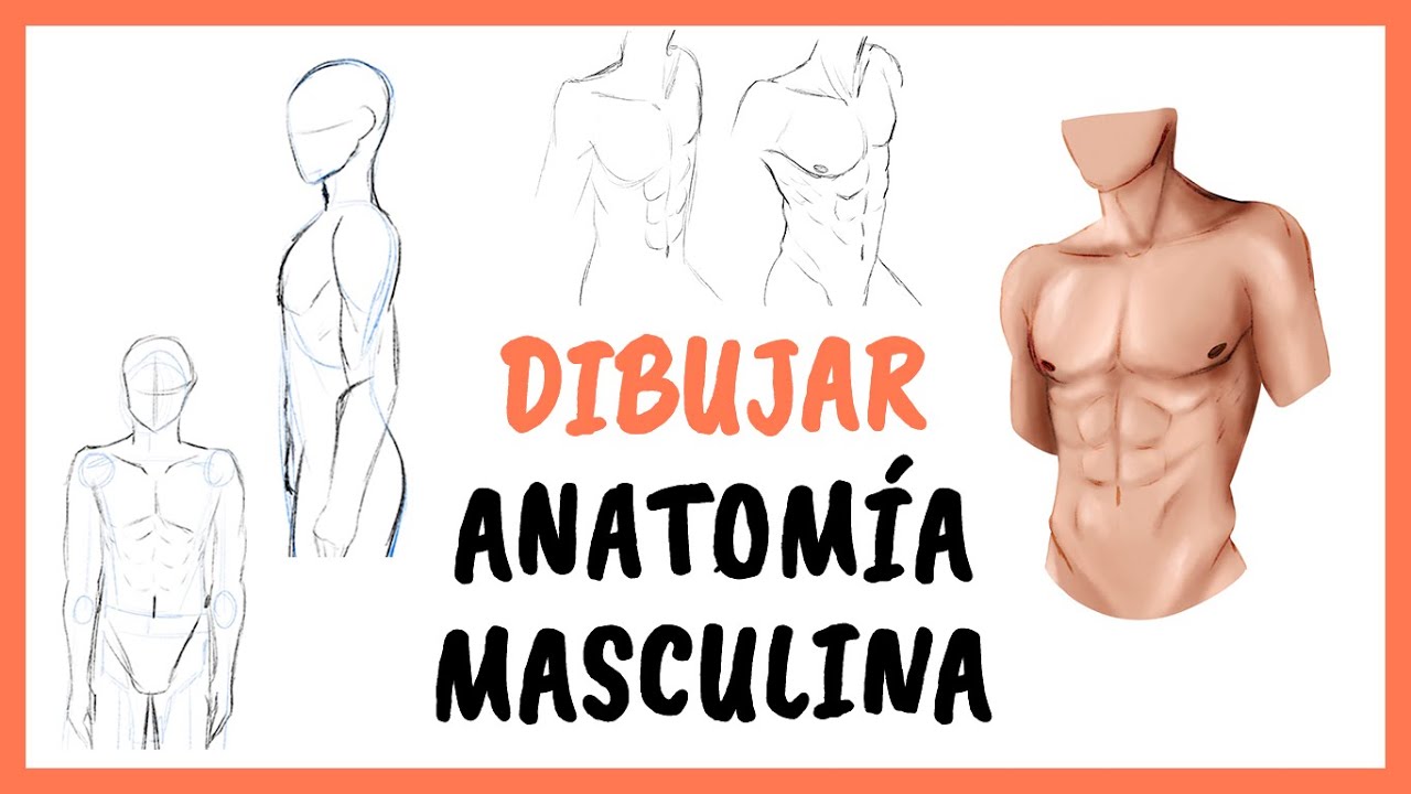 Cómo DIBUJAR el CUERPO HUMANO paso a paso facil | Cuerpo masculino ⭐