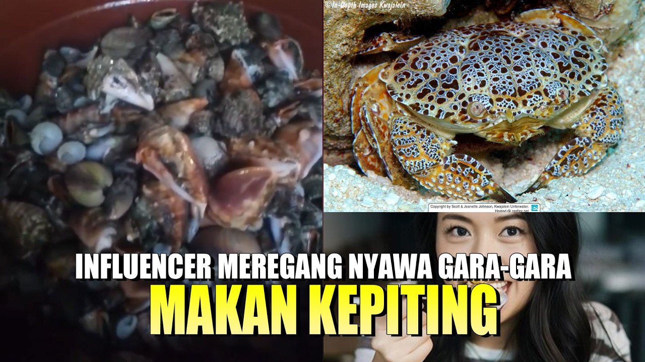 Bahaya jadi food vlogger...