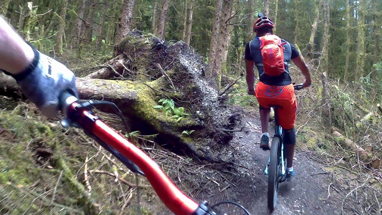 Your guide to Gisburn Forest Mountain Bike Trails