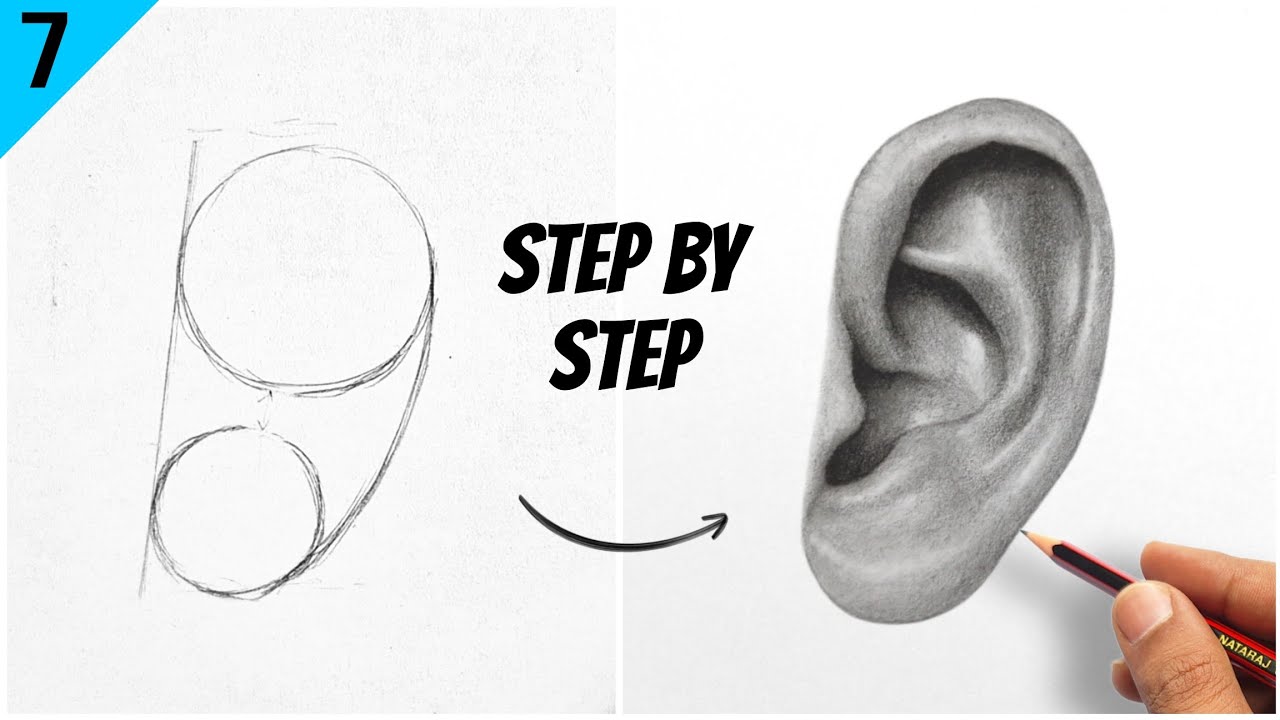 How to Draw Realistic Ear - Basic to Advance Portrait Drawing  Lesson - 7 for Beginners