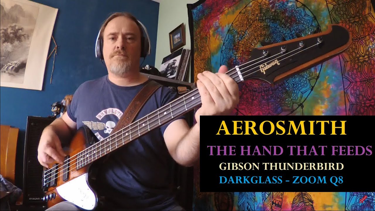 The Hand That Feeds - Aerosmith - Thunderbird Bass Cover