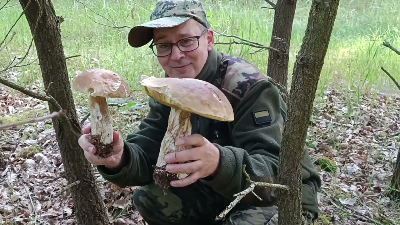 Nareszcie są prawdziwki!!!